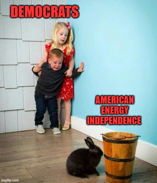 yep | DEMOCRATS; AMERICAN ENERGY INDEPENDENCE | image tagged in children scared of rabbit | made w/ Imgflip meme maker