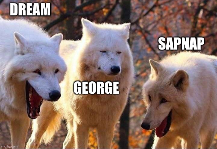 dream smp | DREAM; SAPNAP; GEORGE | image tagged in laughing wolf | made w/ Imgflip meme maker