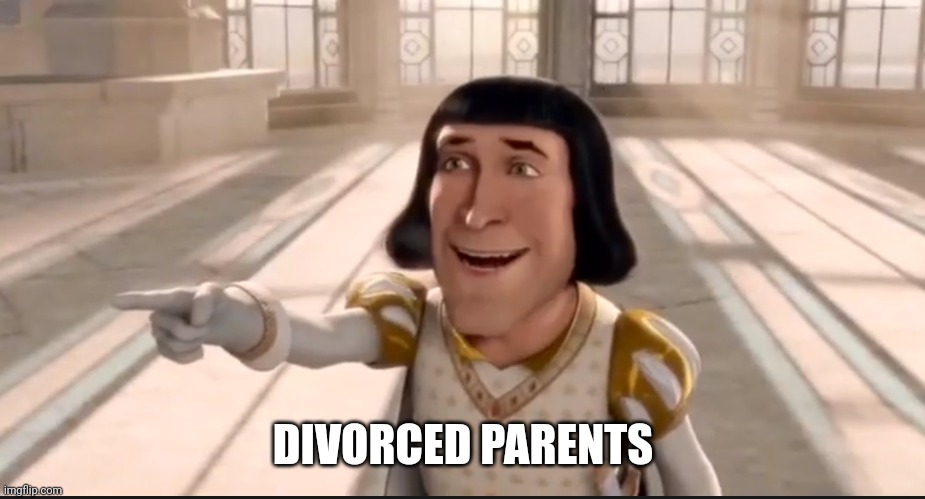 The Ogre Has Fallen In Love With The Princess | DIVORCED PARENTS | image tagged in the ogre has fallen in love with the princess | made w/ Imgflip meme maker