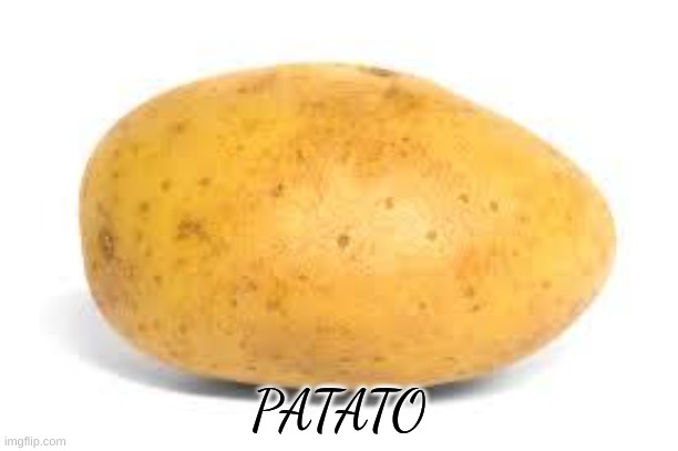 lost | PATATO | image tagged in potato | made w/ Imgflip meme maker