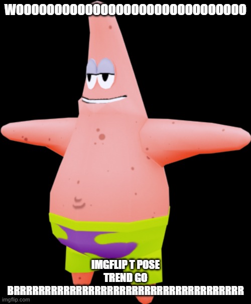 T POSE SOMEONE!!! | WOOOOOOOOOOOOOOOOOOOOOOOOOOOOOO; IMGFLIP T POSE TREND GO BRRRRRRRRRRRRRRRRRRRRRRRRRRRRRRRRRRRRR | image tagged in t pose patrick,who is dan0y | made w/ Imgflip meme maker