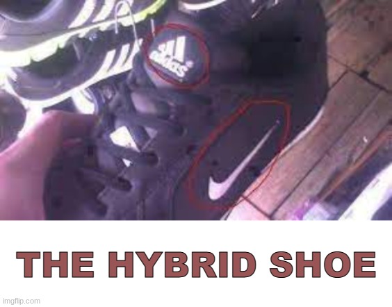 Very interesting title | THE HYBRID SHOE | image tagged in blank white template,hybrid,shoe | made w/ Imgflip meme maker