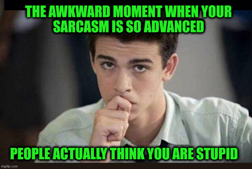 THE AWKWARD MOMENT WHEN YOUR
SARCASM IS SO ADVANCED; PEOPLE ACTUALLY THINK YOU ARE STUPID | image tagged in who_am_i | made w/ Imgflip meme maker