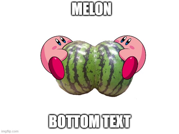 Blank White Template | MELON; BOTTOM TEXT | image tagged in blank white template | made w/ Imgflip meme maker