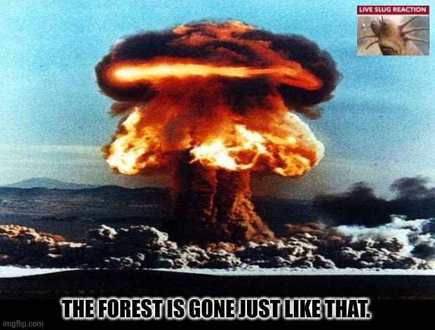 nreal nuke explotion | THE FOREST IS GONE JUST LIKE THAT. | image tagged in memes,slug,reacts | made w/ Imgflip meme maker
