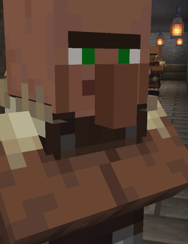Villager Blank Meme Template
