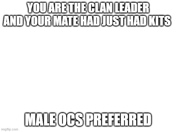 Warrior cats | YOU ARE THE CLAN LEADER AND YOUR MATE HAD JUST HAD KITS; MALE OCS PREFERRED | image tagged in blank white template | made w/ Imgflip meme maker