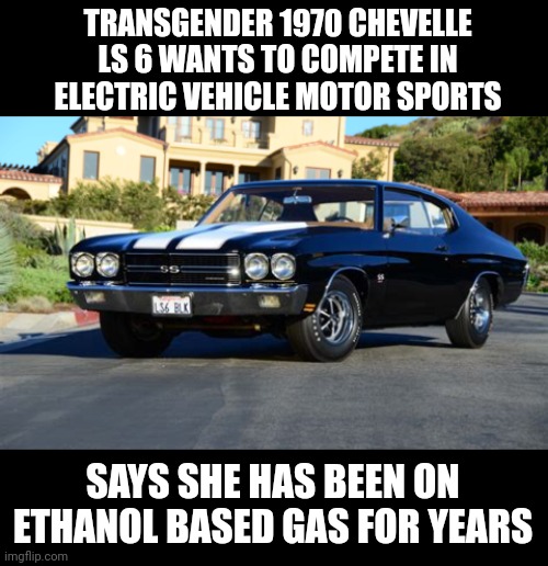 TRANSGENDER 1970 CHEVELLE LS 6 WANTS TO COMPETE IN ELECTRIC VEHICLE MOTOR SPORTS; SAYS SHE HAS BEEN ON ETHANOL BASED GAS FOR YEARS | made w/ Imgflip meme maker