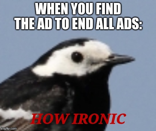 How ironic | WHEN YOU FIND THE AD TO END ALL ADS: | image tagged in how ironic | made w/ Imgflip meme maker