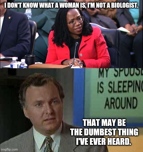 Less white is still pretty dumb. | I DON'T KNOW WHAT A WOMAN IS, I'M NOT A BIOLOGIST. THAT MAY BE THE DUMBEST THING I'VE EVER HEARD. | image tagged in memes | made w/ Imgflip meme maker