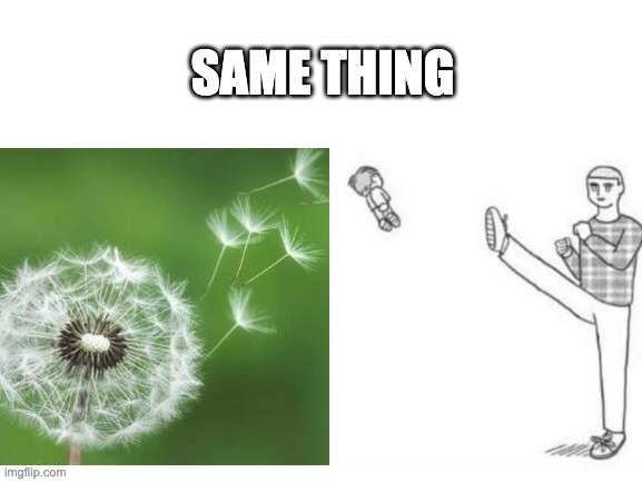 SAME THING | image tagged in yeet the child,flower,memes | made w/ Imgflip meme maker