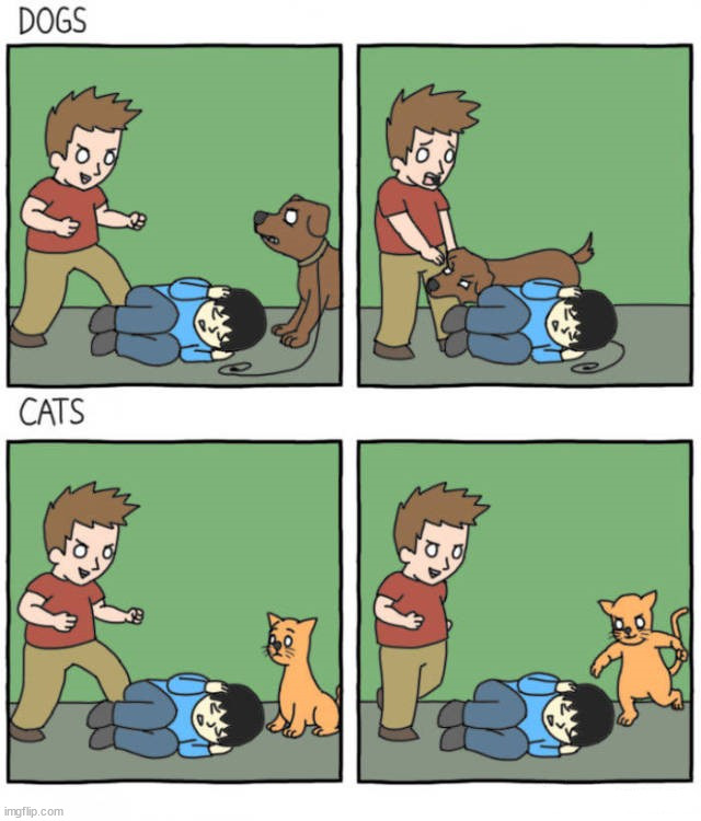 Differences of Dogs and Cats | image tagged in comics/cartoons | made w/ Imgflip meme maker