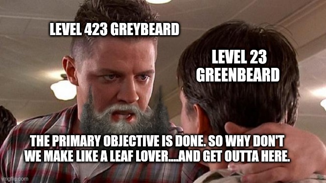 Biff | LEVEL 423 GREYBEARD; LEVEL 23 GREENBEARD; THE PRIMARY OBJECTIVE IS DONE. SO WHY DON'T WE MAKE LIKE A LEAF LOVER....AND GET OUTTA HERE. | image tagged in biff | made w/ Imgflip meme maker