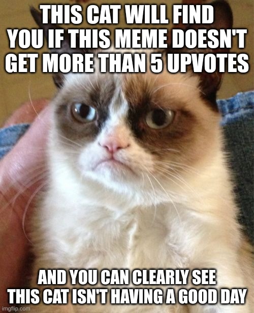 Grumpy Cat Meme | THIS CAT WILL FIND YOU IF THIS MEME DOESN'T GET MORE THAN 5 UPVOTES; AND YOU CAN CLEARLY SEE THIS CAT ISN'T HAVING A GOOD DAY | image tagged in memes,grumpy cat | made w/ Imgflip meme maker