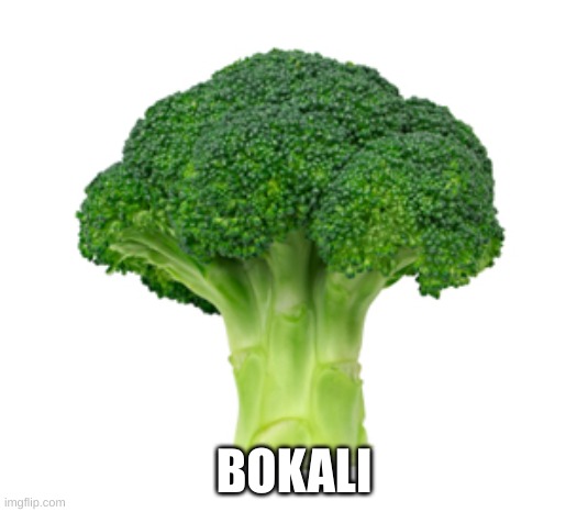 Brocolli | BOKALI | image tagged in brocolli | made w/ Imgflip meme maker
