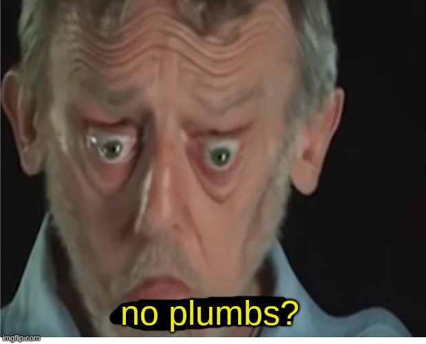 no plumbs? | made w/ Imgflip meme maker