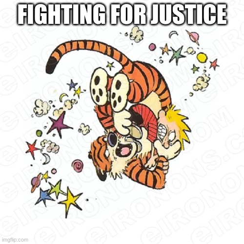 Fighting For Justice | FIGHTING FOR JUSTICE | image tagged in funny memes | made w/ Imgflip meme maker