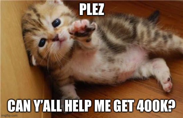 Help Me Kitten | PLEZ; CAN Y’ALL HELP ME GET 400K? | image tagged in help me kitten,upvotes | made w/ Imgflip meme maker