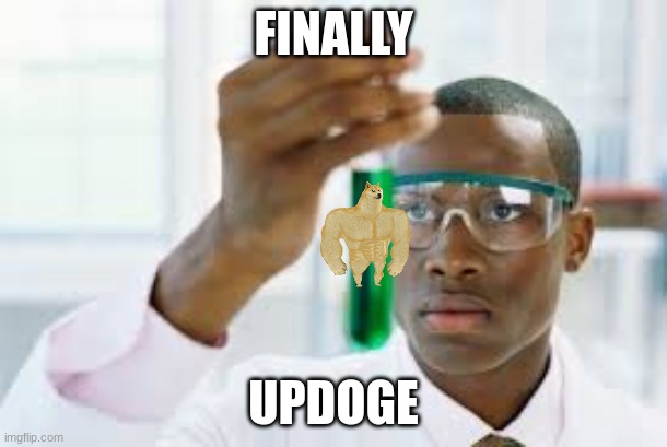 UPDOGE | FINALLY; UPDOGE | image tagged in finally,doge,updoge,oh wow are you actually reading these tags | made w/ Imgflip meme maker