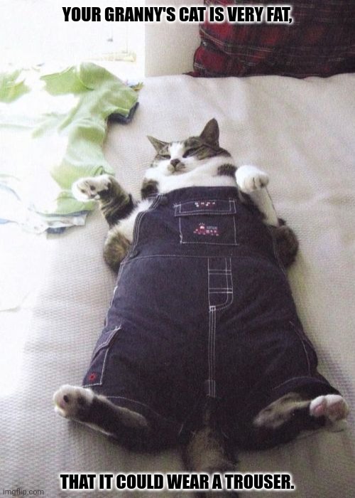 Fat Cat Meme | YOUR GRANNY'S CAT IS VERY FAT, THAT IT COULD WEAR A TROUSER. | image tagged in memes,kitty,dipping | made w/ Imgflip meme maker