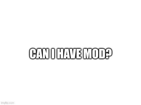 Blank White Template | CAN I HAVE MOD? | image tagged in blank white template | made w/ Imgflip meme maker