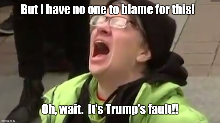 Screaming Liberal  | But I have no one to blame for this! Oh, wait.  It’s Trump’s fault!! | image tagged in screaming liberal | made w/ Imgflip meme maker