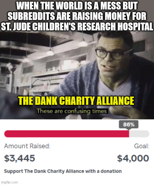 Take the good with the bad | WHEN THE WORLD IS A MESS BUT SUBREDDITS ARE RAISING MONEY FOR ST. JUDE CHILDREN'S RESEARCH HOSPITAL; THE DANK CHARITY ALLIANCE | image tagged in these are confusing times,charity,dank,giving,cancer,avengers | made w/ Imgflip meme maker