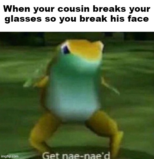 How to treat your cousin after he breaks your glasses | When your cousin breaks your glasses so you break his face | image tagged in get nae-nae'd | made w/ Imgflip meme maker