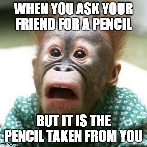 Shocked Monkey | WHEN YOU ASK YOUR FRIEND FOR A PENCIL; BUT IT IS THE PENCIL TAKEN FROM YOU | image tagged in shocked monkey | made w/ Imgflip meme maker