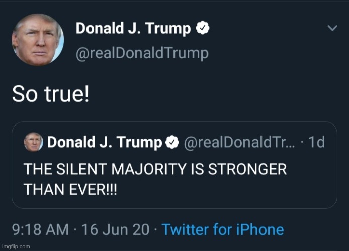 Trump talking to himself | image tagged in trump talking to himself | made w/ Imgflip meme maker