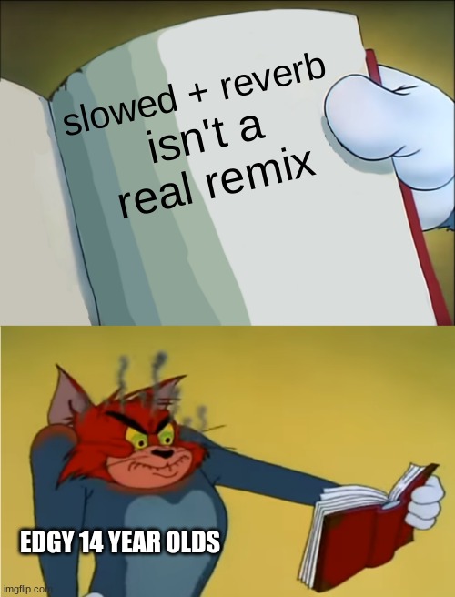 seriously. stop it. | slowed + reverb; isn't a real remix; EDGY 14 YEAR OLDS | image tagged in angry tom reading book | made w/ Imgflip meme maker