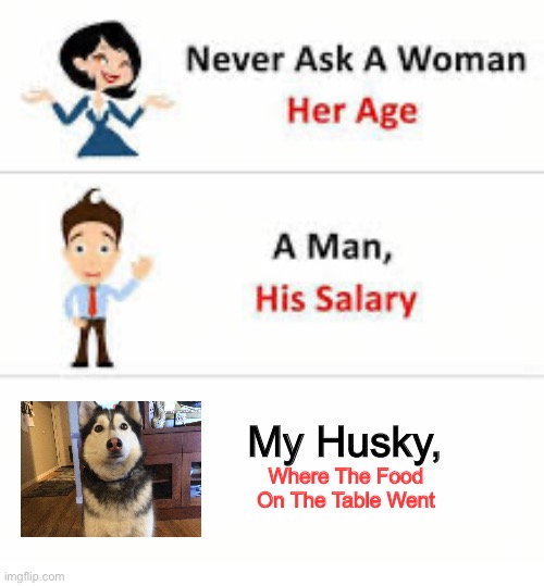 Title not found | My Husky, Where The Food On The Table Went | image tagged in never ask a woman her age,husky,dog | made w/ Imgflip meme maker