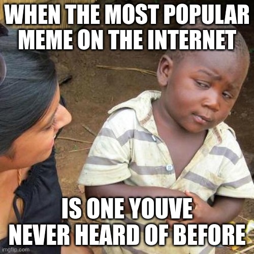 Third World Skeptical Kid | WHEN THE MOST POPULAR MEME ON THE INTERNET; IS ONE YOUVE NEVER HEARD OF BEFORE | image tagged in memes,third world skeptical kid | made w/ Imgflip meme maker