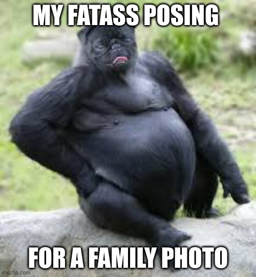 I wa bored | MY FATASS POSING; FOR A FAMILY PHOTO | image tagged in monke,dog,gorilla | made w/ Imgflip meme maker