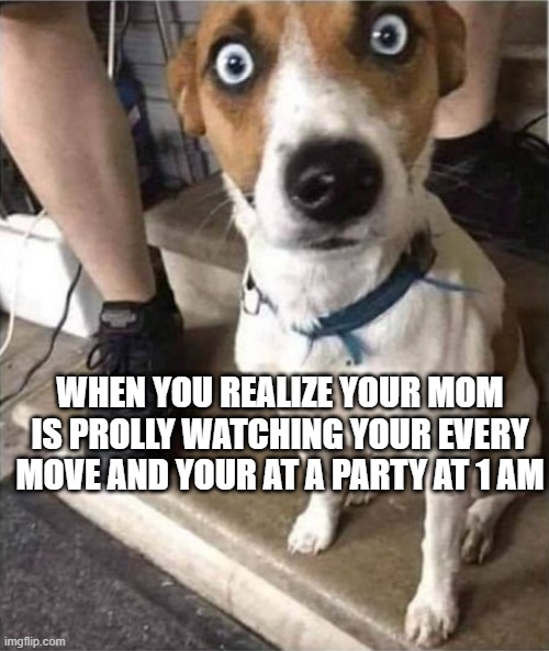 Shock Surprise Dog Therapy | WHEN YOU REALIZE YOUR MOM IS PROLLY WATCHING YOUR EVERY MOVE AND YOUR AT A PARTY AT 1 AM | image tagged in shock surprise dog therapy | made w/ Imgflip meme maker