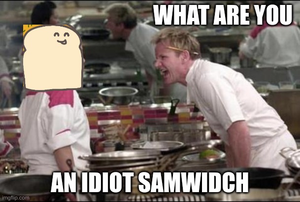 Angry Chef Gordon Ramsay | WHAT ARE YOU; AN IDIOT SAMWIDCH | image tagged in memes,angry chef gordon ramsay | made w/ Imgflip meme maker