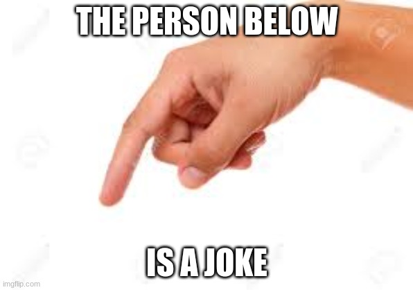 mnbvcxzlkjhgfdsapoiuytrewq | THE PERSON BELOW; IS A JOKE | image tagged in the person below | made w/ Imgflip meme maker