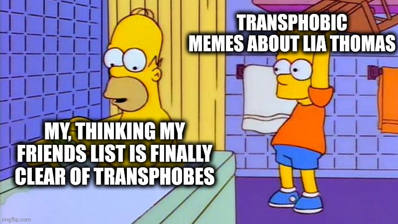 Transphobes coming out over Lia Thomas | TRANSPHOBIC MEMES ABOUT LIA THOMAS; MY, THINKING MY FRIENDS LIST IS FINALLY CLEAR OF TRANSPHOBES | image tagged in bart simpson hits homer with a chair | made w/ Imgflip meme maker