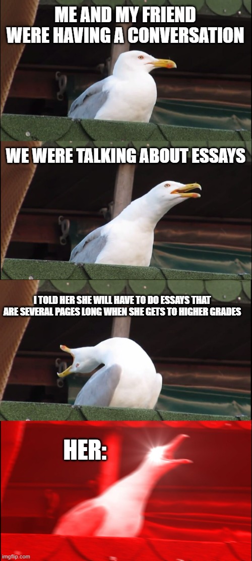 She was not happy | ME AND MY FRIEND WERE HAVING A CONVERSATION; WE WERE TALKING ABOUT ESSAYS; I TOLD HER SHE WILL HAVE TO DO ESSAYS THAT ARE SEVERAL PAGES LONG WHEN SHE GETS TO HIGHER GRADES; HER: | image tagged in memes,inhaling seagull,essays,be like | made w/ Imgflip meme maker