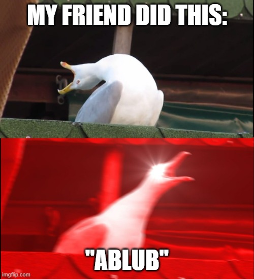 She shoved her face into a pool and made this sound | MY FRIEND DID THIS:; "ABLUB" | image tagged in screaming bird,pool,sound | made w/ Imgflip meme maker