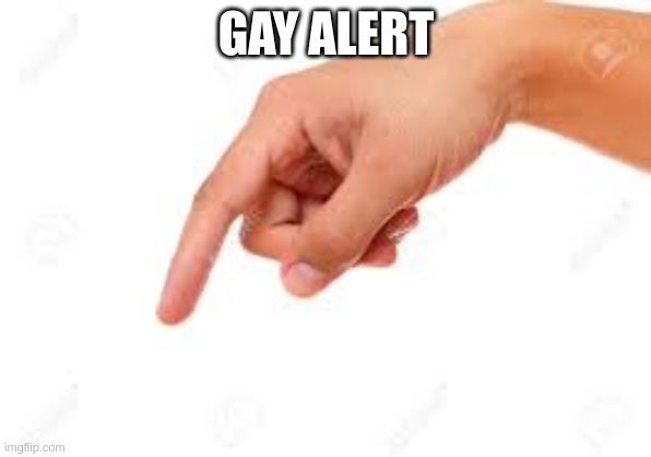the person below | GAY ALERT | image tagged in the person below | made w/ Imgflip meme maker