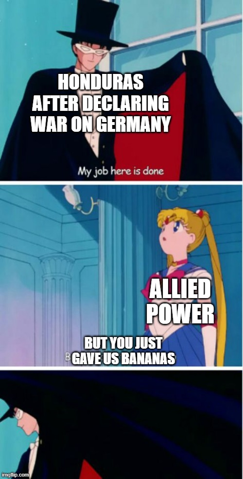 good bananas tho | HONDURAS AFTER DECLARING WAR ON GERMANY; ALLIED POWER; BUT YOU JUST GAVE US BANANAS | image tagged in my job here is done | made w/ Imgflip meme maker