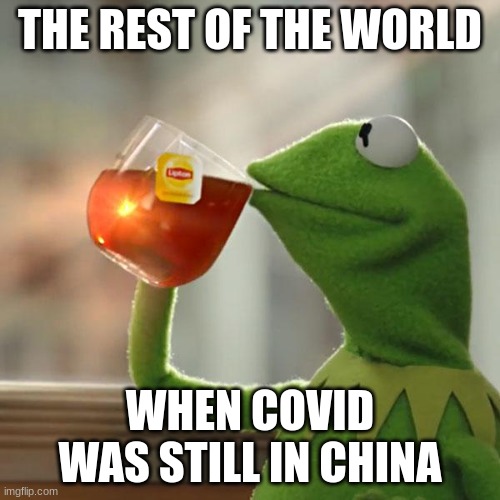 hehehehe | THE REST OF THE WORLD; WHEN COVID WAS STILL IN CHINA | image tagged in memes,but that's none of my business,kermit the frog | made w/ Imgflip meme maker