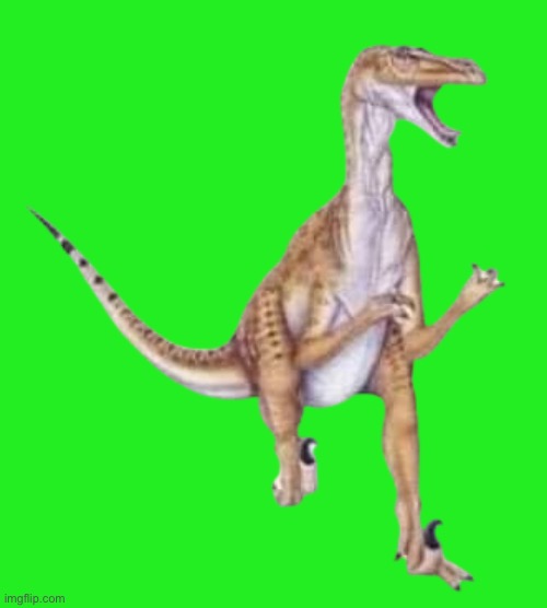Raptor transparent | image tagged in raptor transparent | made w/ Imgflip meme maker