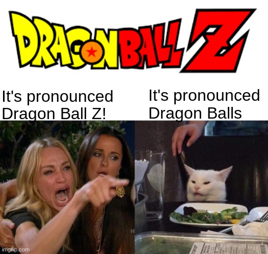 The cat is getting dark here | It's pronounced Dragon Balls; It's pronounced Dragon Ball Z! | image tagged in memes,woman yelling at cat | made w/ Imgflip meme maker