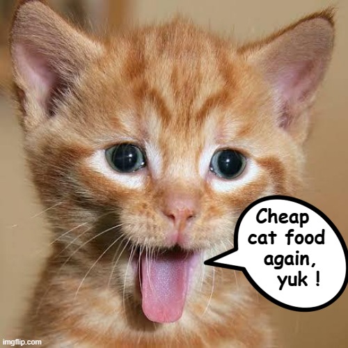 Yuk ! | Cheap  
cat food 
again,
  yuk ! | image tagged in cat food | made w/ Imgflip meme maker