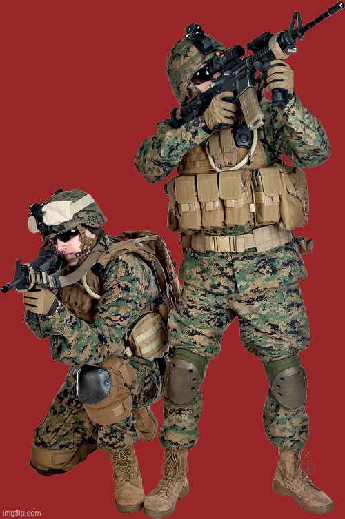 Marines on duty | image tagged in marines on duty | made w/ Imgflip meme maker
