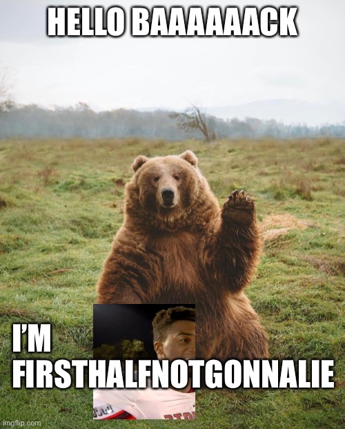 Bear Waving | HELLO BAAAAAACK I’M FIRSTHALFNOTGONNALIE | image tagged in bear waving | made w/ Imgflip meme maker