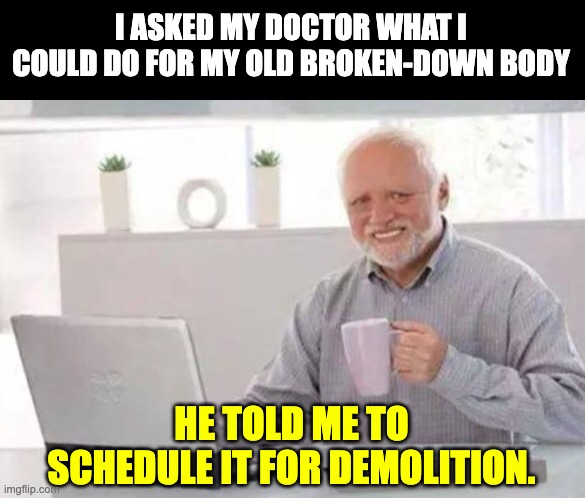 Old and broken down | I ASKED MY DOCTOR WHAT I COULD DO FOR MY OLD BROKEN-DOWN BODY; HE TOLD ME TO SCHEDULE IT FOR DEMOLITION. | image tagged in harold | made w/ Imgflip meme maker