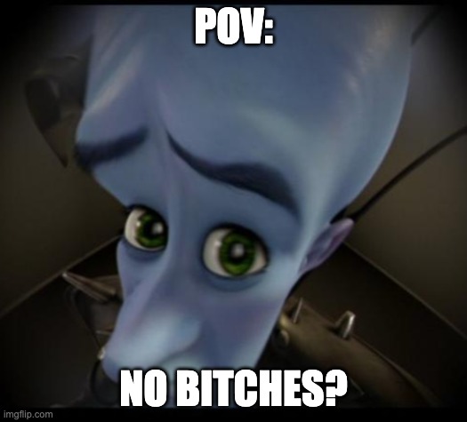 Megamind peeking | POV:; NO BITCHES? | image tagged in no bitches | made w/ Imgflip meme maker